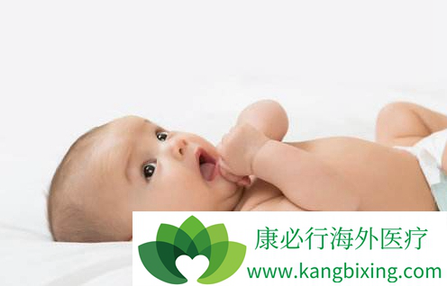 赵主任